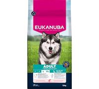 Eukanuba Mangime secco per cani con salmone e orzo per razze di taglia grande, mangime secco premium per cani adulti, 12 kg