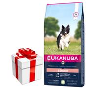 Eukanuba Mature&Senior Piccole e Medie Razze Agnello e Riso 12kg + Sorpresa GRATUITA per il cane!