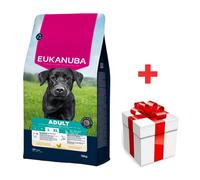 EUKANUBA Pollo Adulto di Taglia Grande 15 kg + sorpresa per il cane
