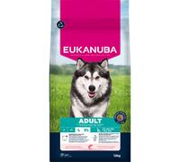EUKANUBA Adult cibo secco con salmone e orzo per cani di grossa taglia 12 kg