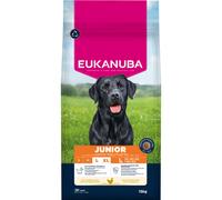 Eukanuba Premium Nutrition Junior Large & Giant Breed Pollo - 15 kg