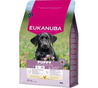 EUKANUBA Puppy Large Breeds Chicken 3 kg crocchette per cuccioli di grandi razze ricche di pollo fresco