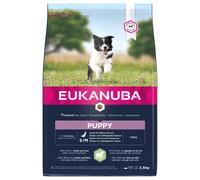 EUKANUBA Eukanuba Dog Puppy Small & Medium Breed Lamb & Rice 2.5 kg