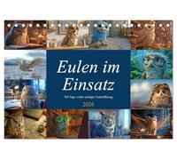 Eulen im Einsatz - 365 Tage voller schräger Federführung (Tischkalender 2026 DIN A5 quer), CALVENDO Monatskalender: Jobprofis mit Federn - Eulenspaß fürs Jahr!