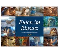 Eulen im Einsatz - 365 Tage voller schräger Federführung (Wandkalender 2026 DIN A3 quer), CALVENDO Monatskalender: Jobprofis mit Federn - Eulenspaß fürs Jahr!