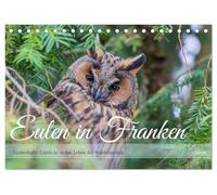 Eulen in Franken (Tischkalender 2026 DIN A5 quer), CALVENDO Monatskalender: Als leidenschaftliche Tierfotografin freue ich mich, allen Eulenfreunden, ... das Leben der Waldohreulen geben zu dürfen.