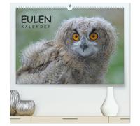 Eulen-Kalender (hochwertiger Premium Wandkalender 2026 DIN A2 quer), Kunstdruck in Hochglanz: Faszinierende Portraits und Flugaufnahmen europäischer Eulen