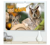 Eulen und Mäuse (hochwertiger Premium Wandkalender 2026 DIN A2 quer), Kunstdruck in Hochglanz: Stimmungsvolle Fotografien von Eulen und Mäusen - ein besonderer Naturkalender für das ganze Jahr.