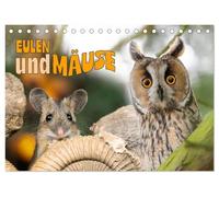 Eulen und Mäuse (Tischkalender 2026 DIN A5 quer), CALVENDO Monatskalender: Stimmungsvolle Fotografien von Eulen und Mäusen - ein besonderer Naturkalender für das ganze Jahr.
