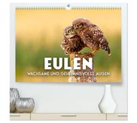 Eulen - Wachsame und geheimnisvolle Augen (hochwertiger Premium Wandkalender 2026 DIN A2 quer), Kunstdruck in Hochglanz: Die Vögel der Weisheit.