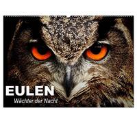 Eulen. Wächter der Nacht (Wandkalender 2026 DIN A2 quer), CALVENDO Monatskalender: Die mystischen Waldbewohner mit großer Fan-Gemeinde