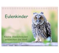 Eulenkinder - Kleine Waldohreulen entdecken die Welt (Tischkalender 2026 DIN A5 quer), CALVENDO Monatskalender: Süße Waldohreulenkinder begleiten Sie durch das Jahr