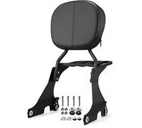 Eumti Schienale rimovibile per passeggero Sissy Bar e portapacchi nero opaco compatibile con Harley Davidson Sportster XL XLH 883 1200 2004-UP