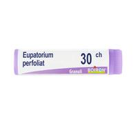 EUPATORIUM PERFOLIATUM 30CH GLOBULI MONODOSE BOIRON