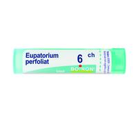 Eupatorium Perfoliatum 6 Ch80 Gr