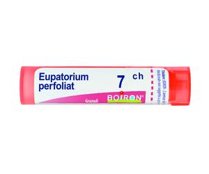 Eupatorium Perfoliatum 7Ch Granuli Multidose Boiron