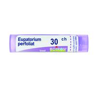Eupatorium Perfoliatum 30 Ch