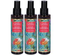 EuPhidra Aqua Profumata Petali di Rosa 3x125 ml