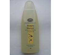 Euphidra bodycl sh plantago250