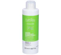 EuPhidra EUPHIDRA SEBANORM AG LOZIONE ASTRINGENTE 250 ML