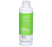 EuPhidra EUPHIDRA SEBANORM AG LOZIONE ASTRINGENTE 250 ML