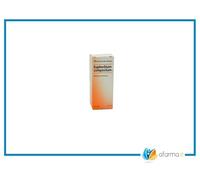 Guna Hee Euphorbium Compositum l Gocce 30 ml