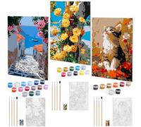 Euqvunn Set da 3 Dipingere con i Numeri Adulti con Telaio, Kit per dipingere con i numeri fai-da-te su tela 20x30cm con pennelli e colori per principianti, arte a olio per decorazione casa
