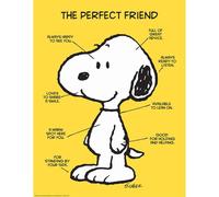 Eureka Classroom Posters, Measures: 17" x 22" - Peanuts The Perfect Friend