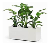 EURO 3 PLAST Cassetta Kebe in Plastica Riciclata con Riserva d'Acqua Integrata, Cm 100, Colore Bianco