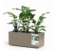 EURO 3 PLAST Cassetta Kebe in Plastica Riciclata con Riserva d'Acqua Integrata, Cm 100, Colore Tortora