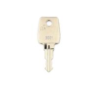 Euro-Locks chiave di riserva chiave per cassetta della posta secondo chiave chiave di ricambio copia di chiave chiave di backup numero da 9001 a 9500 | realizzata in pregiato blank SILCA | FELGNER