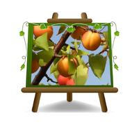 EURO PLANTS VIVAI Albicocco Bella Venosta Pianta da Frutto in Vaso 22-24 cm, Altezza 180-200 cm, Età 4 Anni