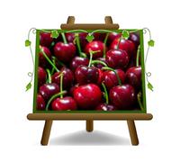 EURO PLANTS VIVAI Ciliegio Dolce Giorgia su Vaso da 20 cm Pianta da Frutto - Altezza 150~170 cm - Età 2 Anni