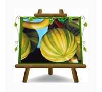 EURO PLANTS VIVAI Fico Panascè - Pianta da Frutto Antico su Vaso da 26 cm. - *Altezza: 180~200 cm. - Età 4 Anni