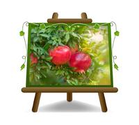 EURO PLANTS VIVAI Melograno Dente di Cavallo - Alberello - Pianta da Frutto Antico su Vaso ø 26 cm - Altezza 180~200 cm - Età 4 Anni