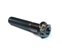 Euro Stile Nero M8x25 Doppio Drive Titanio Gara Spec Viti Bulloni N Ruggine Torx