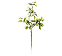 EUROCINSA Eurocinesa RIF.50280C01 Natalizio, Ramo con Foglie Verde/Oro/Bianco, Scatola da 12 Pezzi, 62 cm