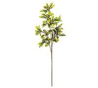 EUROCINSA Eurocinesa RIF.50280C15 Navidad, Rami con Foglie Verdi Oro, Scatola da 12 Pezzi, 62 cm
