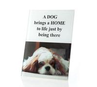 Eurofirany irany C/Print/Ram/06 Photo Frame, Vetro, Colorful, 12 x 18 x 2 cm