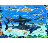 Eurographics - Puzzle Squali - 100 Pezzi