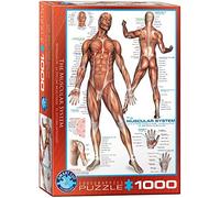 Eurographics - Puzzle Muscoli - 1000 Pezzi