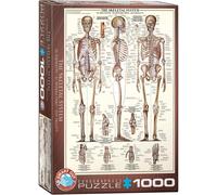 Eurographics Il Sistema Scheletrico Puzzle In Pezzi Da 1000 680Mm X 490Mm
