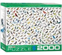 Eurographics Mondo Degli Uccelli Puzzle In Pezzi Da 2000 965Mm X 685Mm