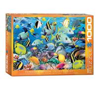 EuroGraphics Ocean Colors Jigsaw Puzzle (1000-Piece)