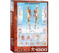 Eurographics Puzzle 1000 Pezzi Human Body 680mm x 490mm Multicolore Cartone