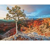 Eurographics - Puzzle Alba nel Grand Canyon - 1000 Pezzi