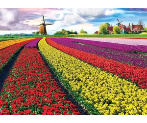 Eurographics - Puzzle Campi di tulipani - 1000 Pezzi