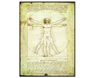 Eurographics - Puzzle Leonardo da Vinci: l'uomo vitruviano - 1000 Pezzi