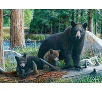 Eurographics puzzle Nuove scoperte 1000 pezzi