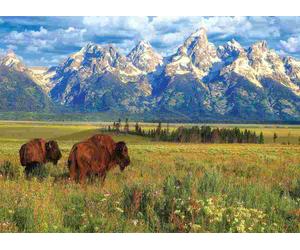 Eurographics - Puzzle Parco nazionale del Grand Teton - 1000 Pezzi